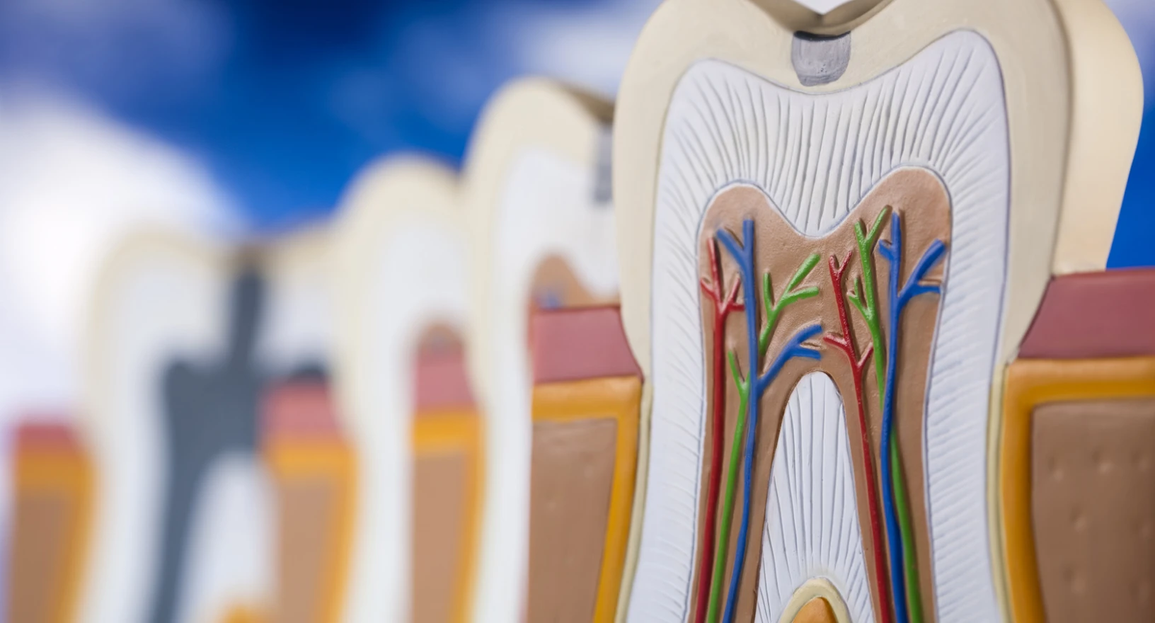 picard-clinique-pins